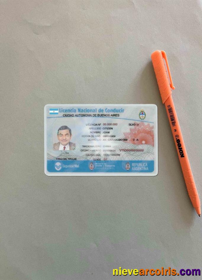 Argentina Buenos Aires driving license photolook